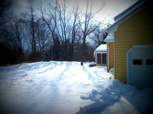 005_picnik