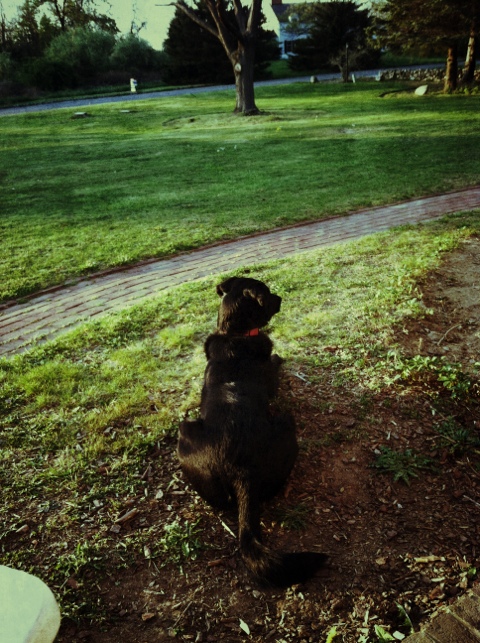 20120419-201232.jpg